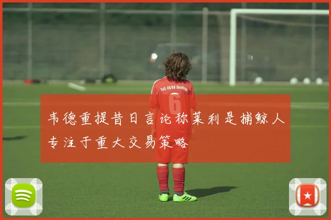 韦德重提昔日言论称莱利是捕鲸人专注于重大交易策略