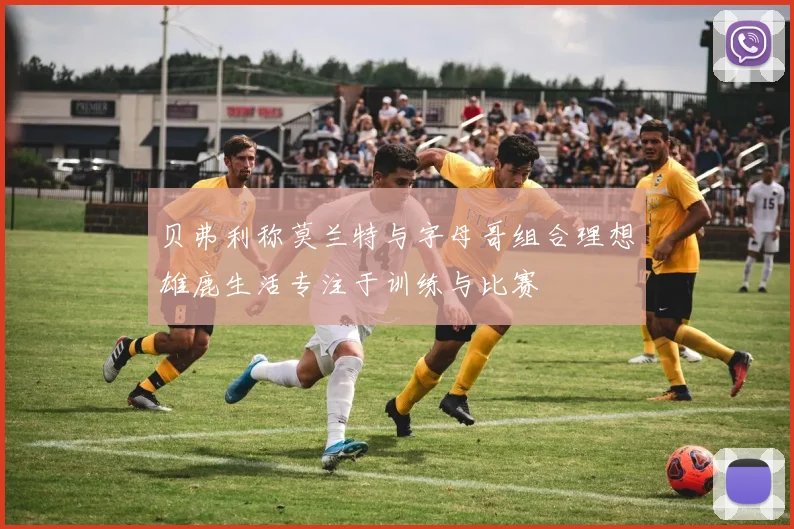 贝弗利称莫兰特与字母哥组合理想雄鹿生活专注于训练与比赛